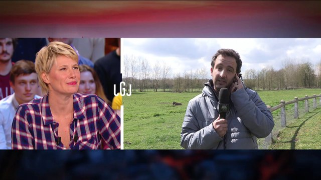 Eldin fait chanter du Renaud à l’Assemblée - Le Grand Journal du 13/04 - CANAL +