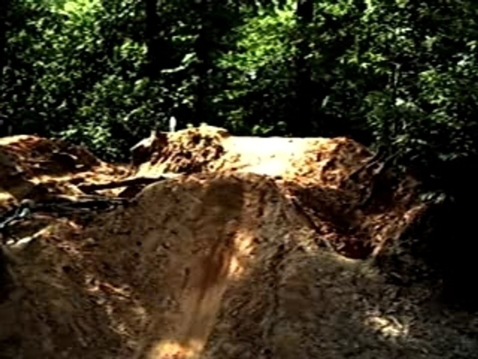 BACKFLIP