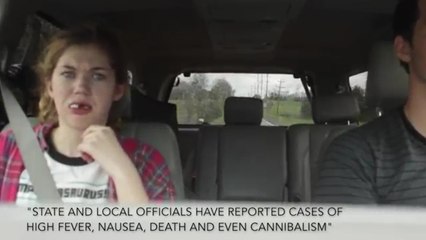 Brothers Convince Little Sister of Zombie Apocalypse