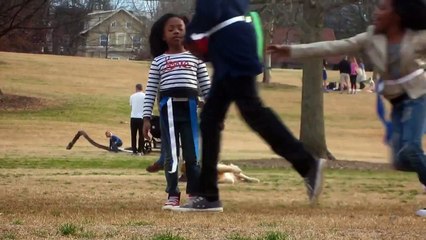 Мне и здесь хорошо. Смешные приколы собаки