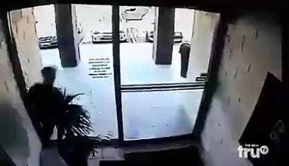 شبعة ضحك هههه ، سارق وغبي