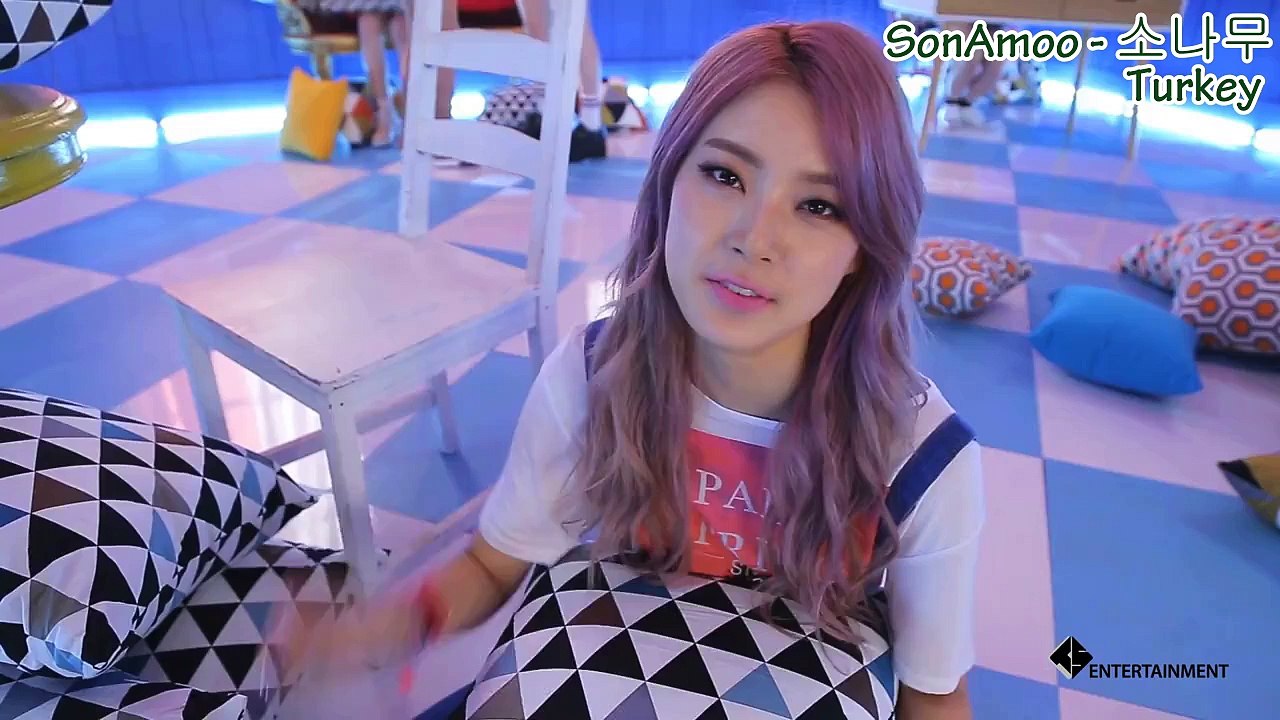 SonAmoo Birinci Yıl Dönümü Videosu [Türkçe Altyazılı]