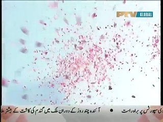 Ain Ishq Episode 8 - PTV