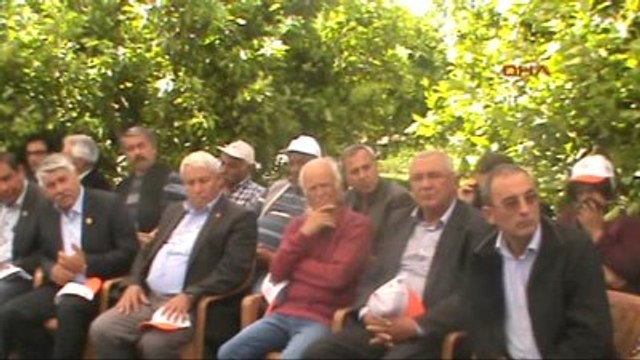 Muğla - Ortaca'da Yeşil Gübreleme , Köyceğiz'te Organik Tarım Etkinliği