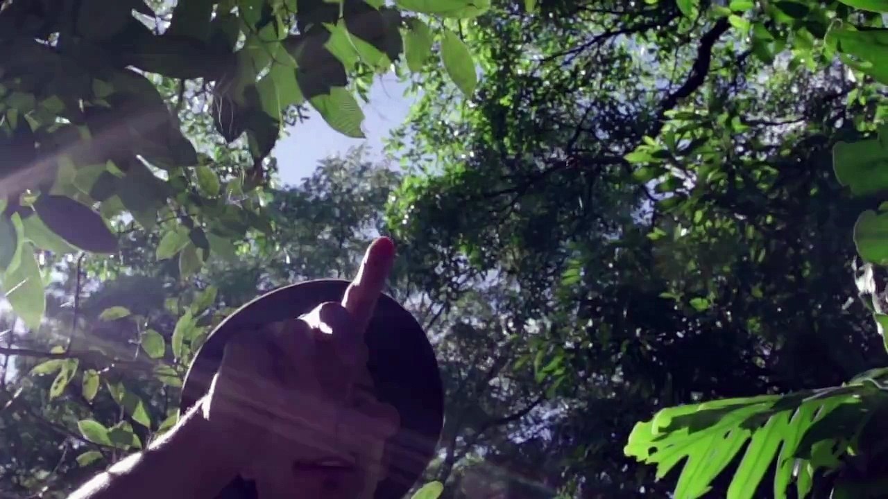 Caloncho - Bésame Morenita (Video Oficial)