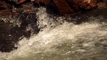 Simi Deac Am cea mai frumoasa mama