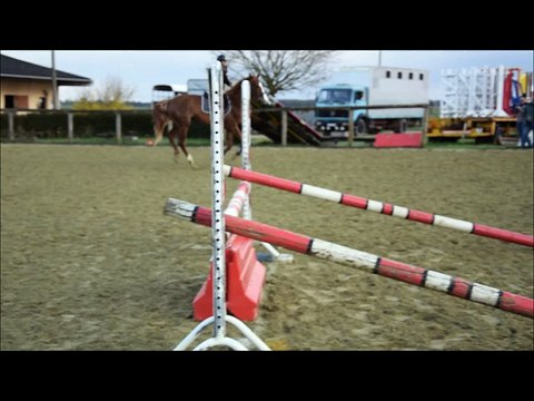 Entrainement CSO - Clyde de Ten - 4ans - Le 08.04.2016