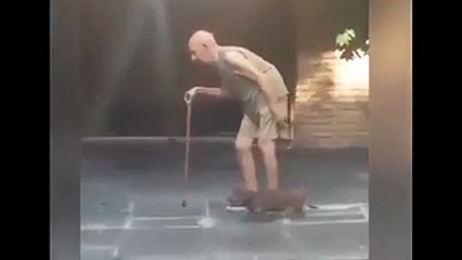 Perro acompañó a cruzar la calle a un anciano y se volvió viral