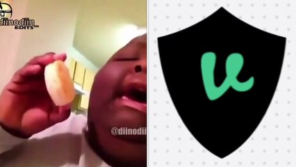 "THESE BISCUITS WILL BLESS YOUR SOUL!" || Vine Compilation