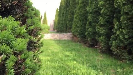 Spring Relaxing music and footage clips from my yard