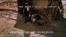 Korean Comedy Movies With English Subtitles Romantic Warriors Comedy Movies 2014
