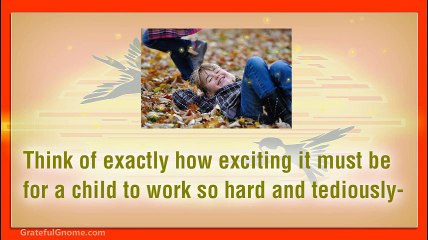 Tips When It Comes To Bird Feeders For Children