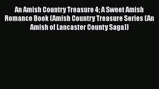 Ebook An Amish Country Treasure 4 A Sweet Amish Romance Book (Amish Country Treasure Series