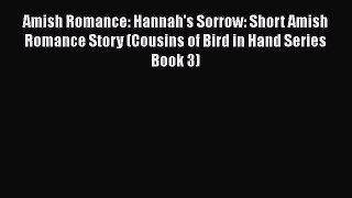 Ebook Amish Romance: Hannah's Sorrow: Short Amish Romance Story (Cousins of Bird in Hand Series