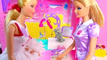Color Changing Pups Water Play Barbie Pet Groomer Playset with Disney Frozen Queen Elsa Dolls Video