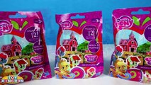 My Little Pony Wave 13 Friendship is Magic Blind Bags MLP Opening Toy Kingdom