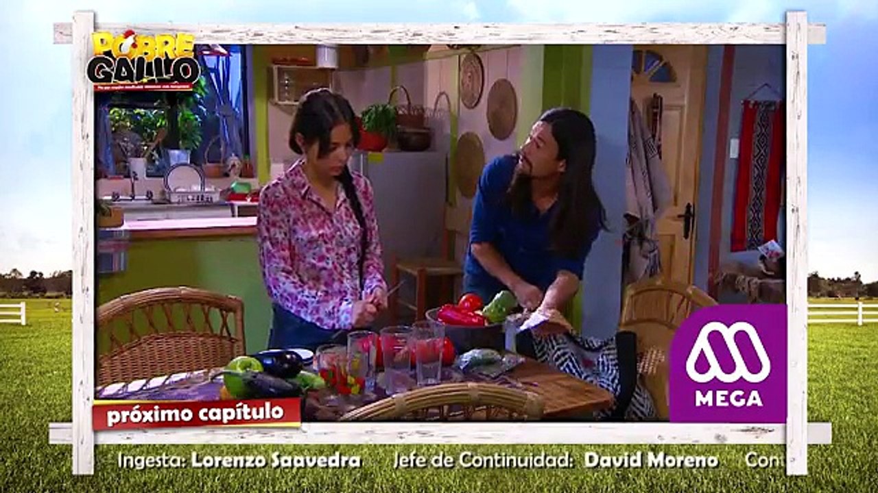 69 Avance Pobre Gallo