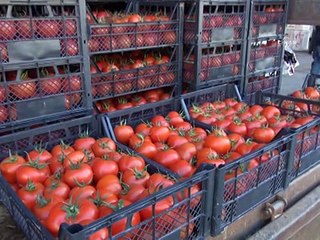 Nakliyeciler, İstanbul'a sebze-meyve taşımaya başladı