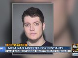 Mesa man arrested for bestiality