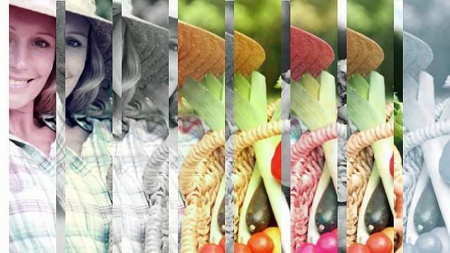 Gainesville Health Food Store