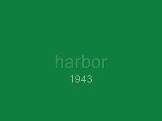 Harbor 1943: Gentle Public & Comments 🌊