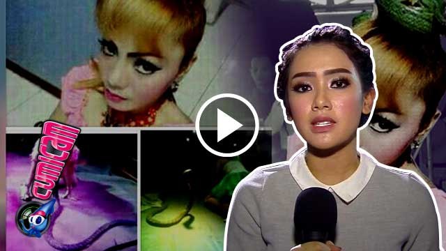 Irma Bule Korban King Kobra, Ini Reaksi Cita Citata - Cumicam 14 April 2016