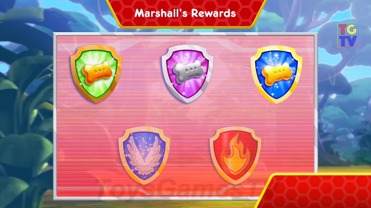 PAW Patrol Pups Take Flight Marshall