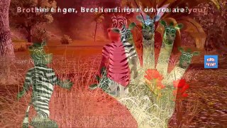 Finger Family Zebra Animal Rhyme |Funny Zebra | Nursery Rhymes For Children