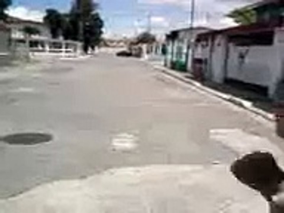 que pato es este pana