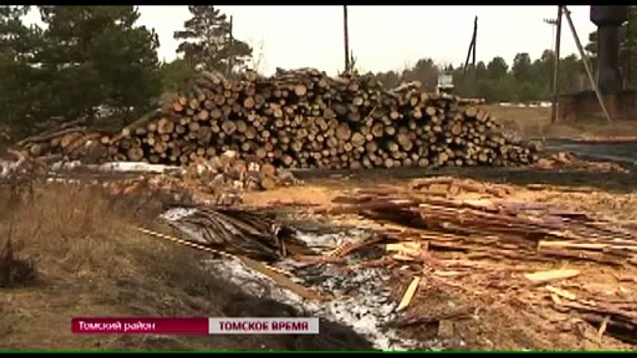 ОНФ Томска выявил нарушения на пилораме в Тахтамышево
