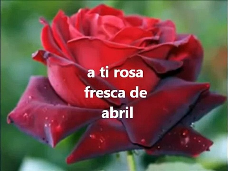 FeLiiz Diia Mamii