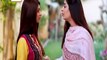 Gudiya Rani Episode 197 on Ary Digital Drama Pak - 14 APR 2016