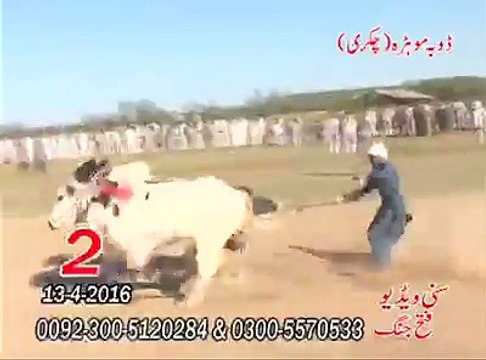 T.A.M.A.S.H.A دوسرا نمبر - ڈوبہ موڑہ چکری