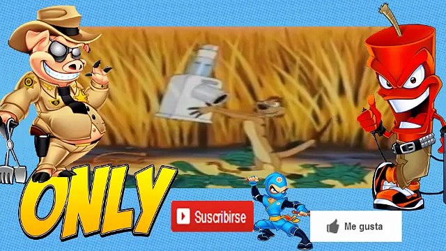 DE VACACIONES CON TIMON Y PUMBA PELICULAS COMPLETAS EN ESPAÑOL LATINO