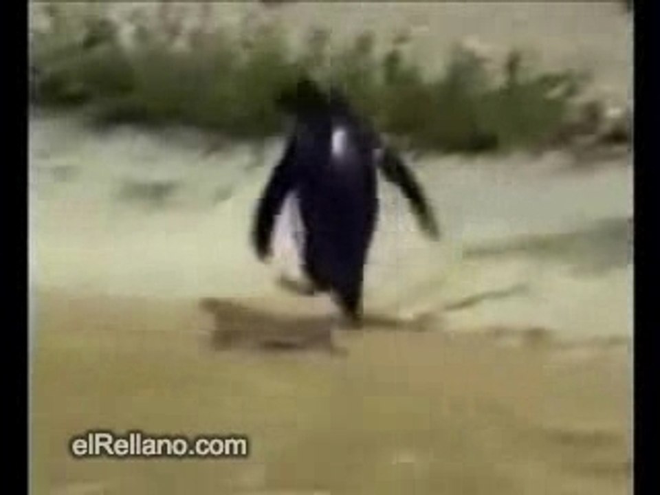 Vendredi apres le boulot
