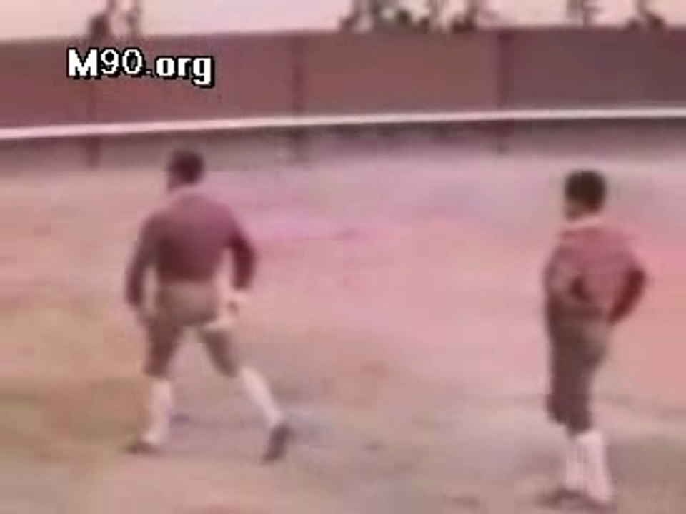Corrida : Quand l'Homme est la proie.