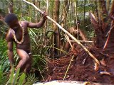 Specialized tribes living in the treetops (Korowai) a local custom of headhunting and cannibalism