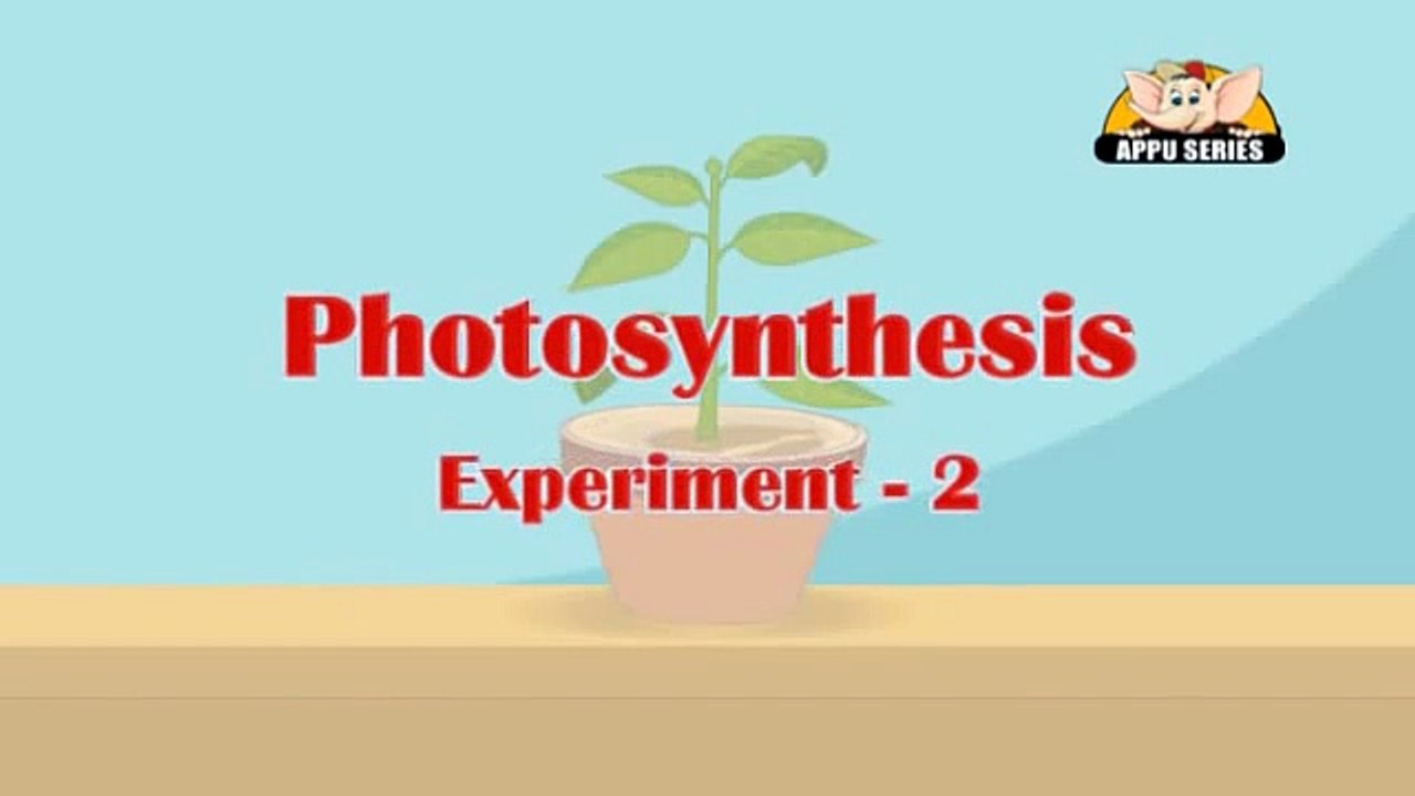 Learn about Plants in Hindi - Photosynthesis Experiment 2