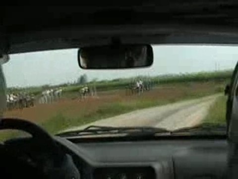 Rallye du Muguet ES6