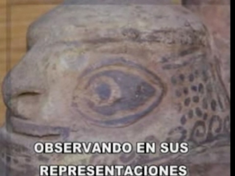 EXPOSICION EN QUERECOTILLO