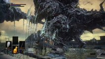 Dark Souls III™ | jsizzle vs. Stray Demon