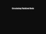 Download Circulating Fluidized Beds  Read Online