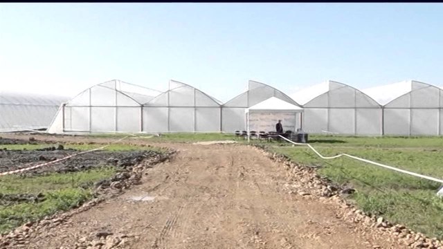 AHMETAJ I PERGJIGJET VASILIT,“SHQETESIME LEGJITIME PER BUJQESINE,DO TI ZGJIDHIM” LAJM mpg