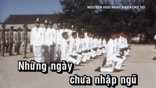 Karaoke Bông Cỏ May Tuấn Vũ Beat Chuẩn