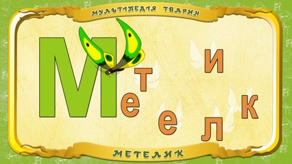 Мультіпедія тварин. Літера М - Метелик