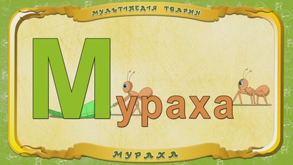 Мультіпедія тварин. Літера М - Мураха