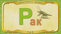 Мультіпедія тварин. Літера Р - Рак