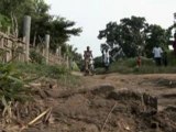 Bassin du Congo : Forêts en sursis