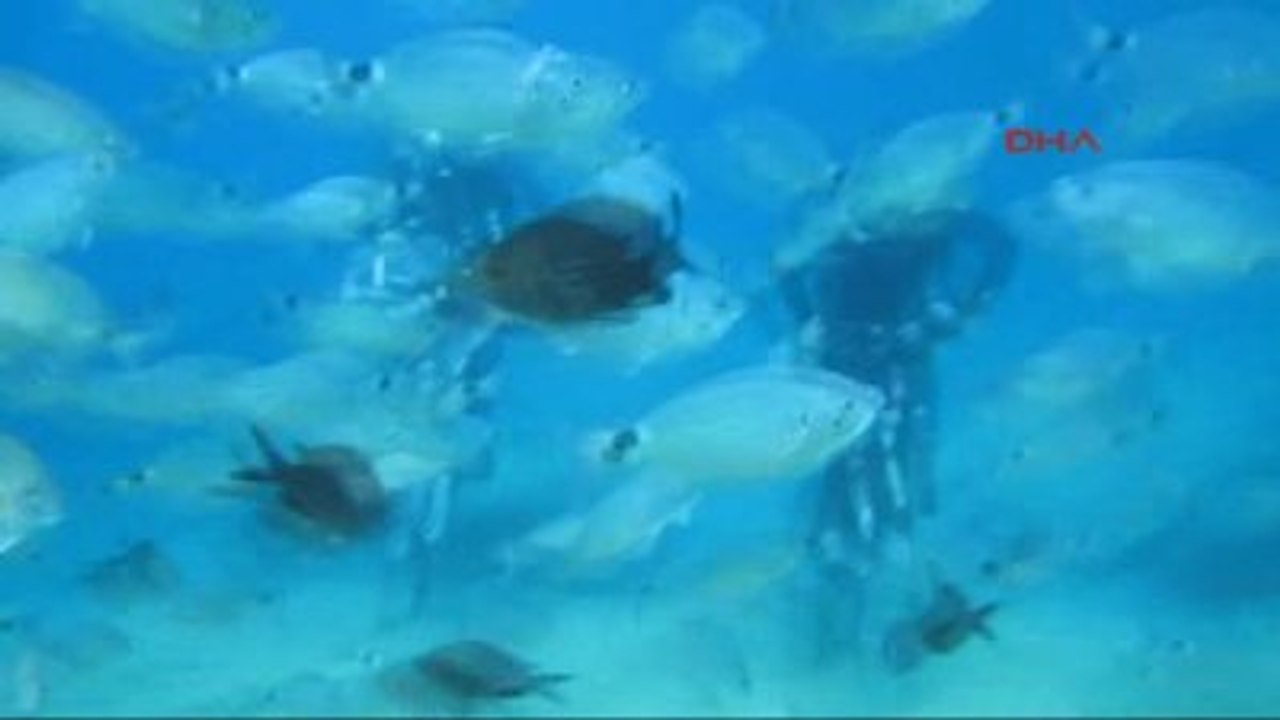 Fethiye Deniz Dibinde Bisiklet Turu