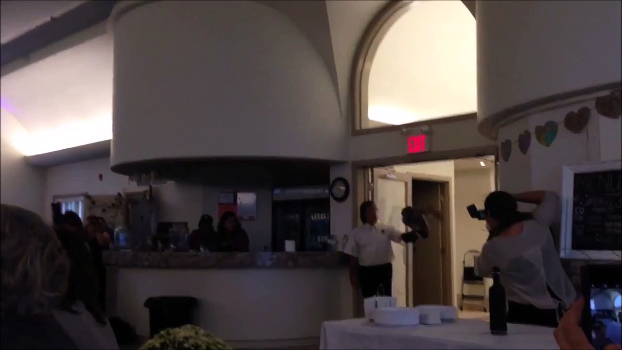 Lâché de chouette pendant un mariage : éclatée contre la vitre